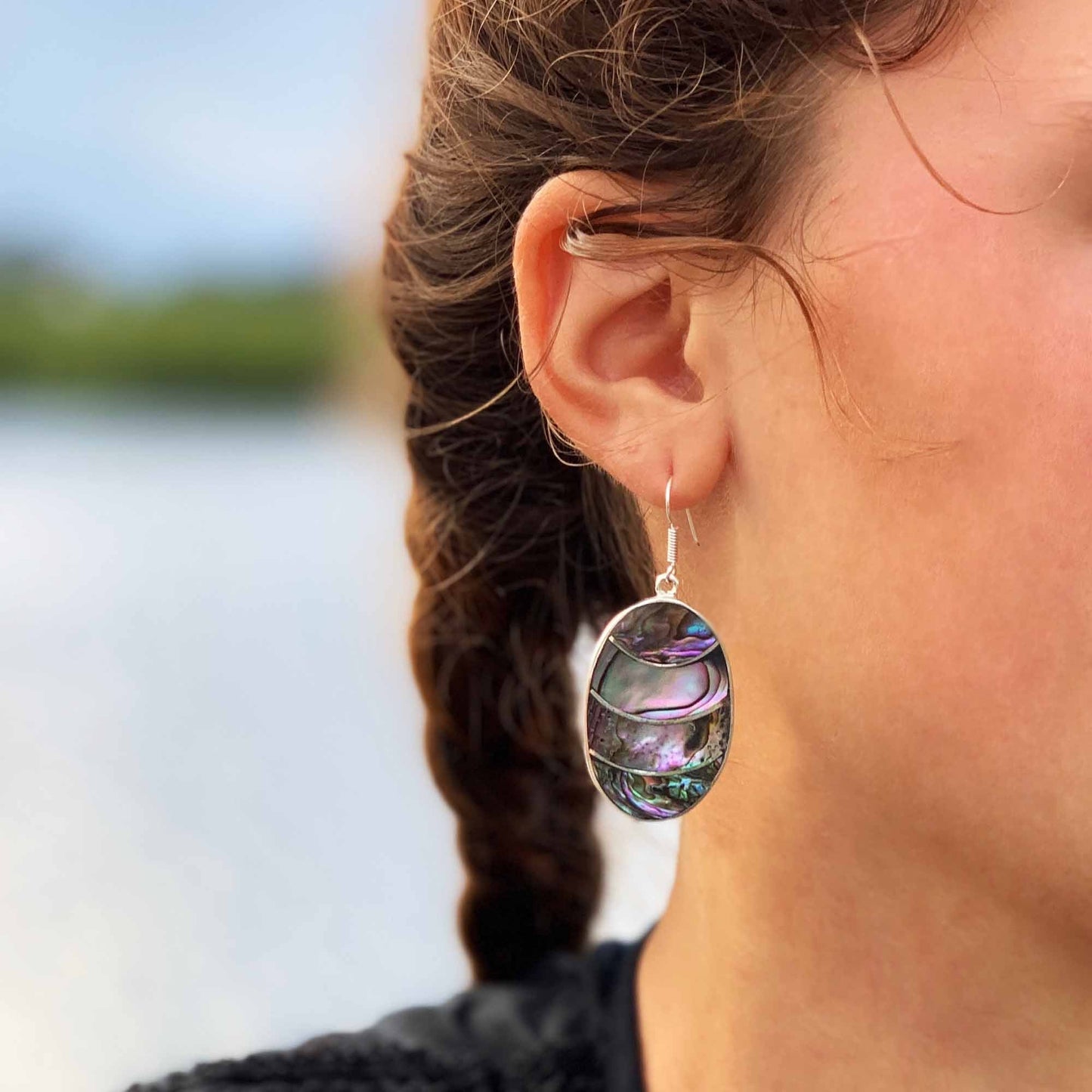 Banded Abalone Oval Earrings